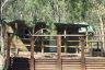 Wollemi Adventure Resort