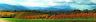 Vineyards - Yarra Valley - Photographer: Dale Smalley